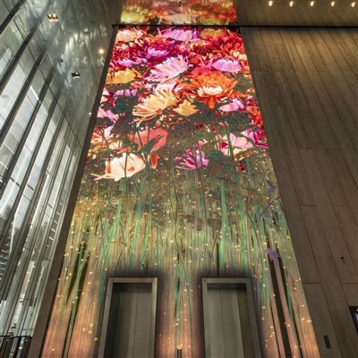 Індывідуальныя святлодыёдныя відэасцяны